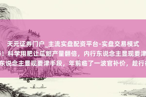 天元证券门户_主流实盘配资平台-实盘交易模式分析 西瓜栽培贫困揭秘！科学用肥让瓜甜产量翻倍，内行东说念主显现要津手段，年前临了一波官补价，趁行径快试试！